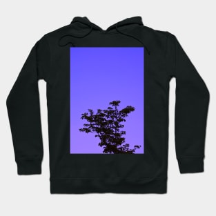 Purple People Eater Hoodie